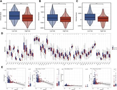 Multi-omics analysis reveals prognostic and therapeutic value of cuproptosis-related lncRNAs in oral squamous cell carcinoma